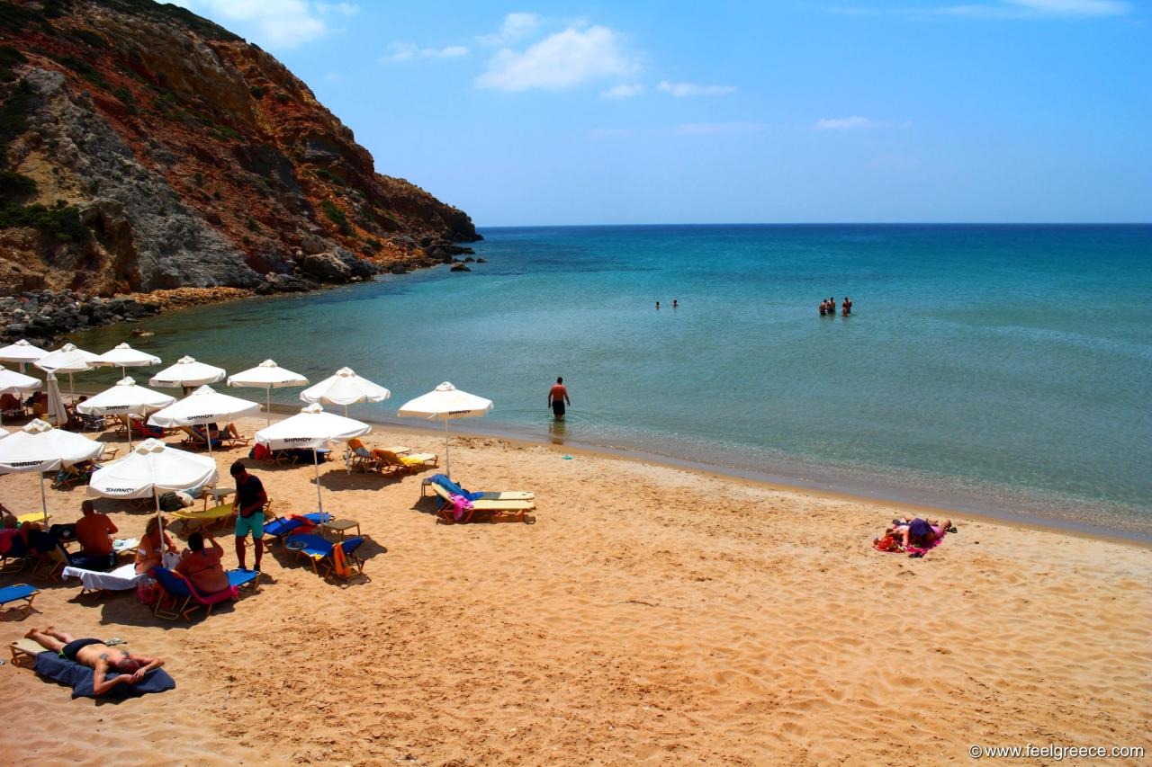 imgi_14_137986-viewom