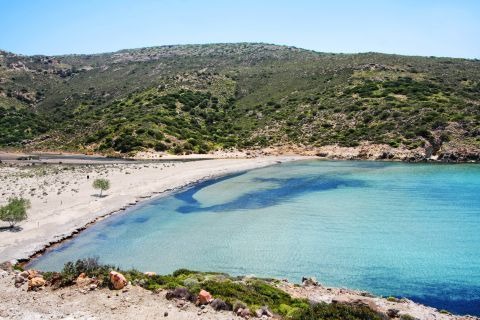 imgi_18_agathia-gallery-1-480